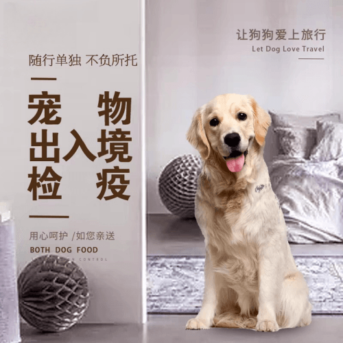福建省宠物托运到哥伦比亚猫狗宠物入境规定和