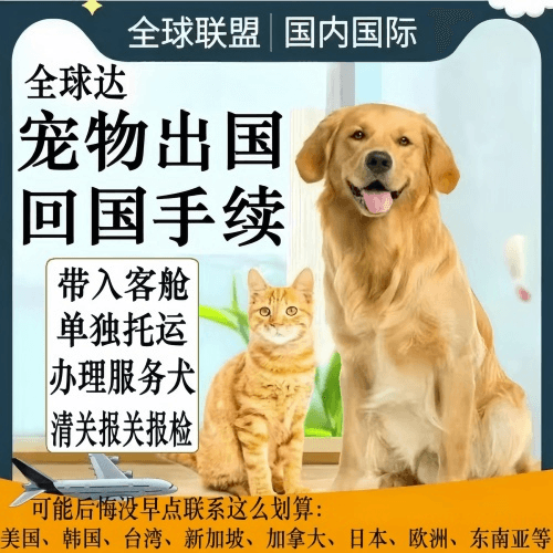 福建省宠物托运到柬埔寨宠物入境规定和要求