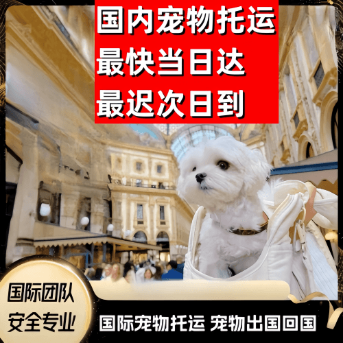 福建省到澳大利亚（澳洲）宠物入境规定和要求