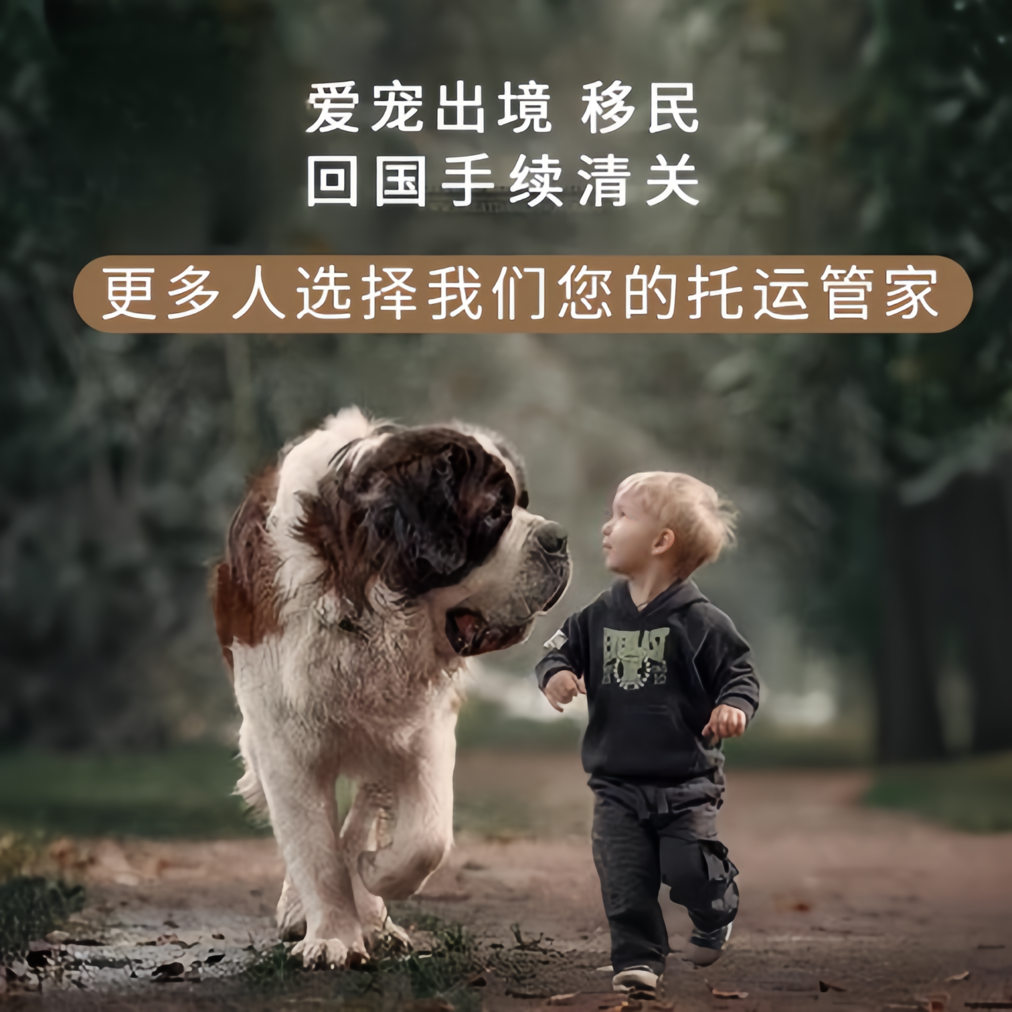 满财福建省宠物全球达宠物托运在遵守入境目的地政策的条件