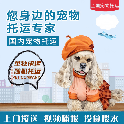 满财福建省宠物全球达宠物托运作为专业的宠物运输代理机构